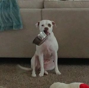 Meet your Posher, Michelle